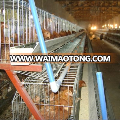 Handan cages sales